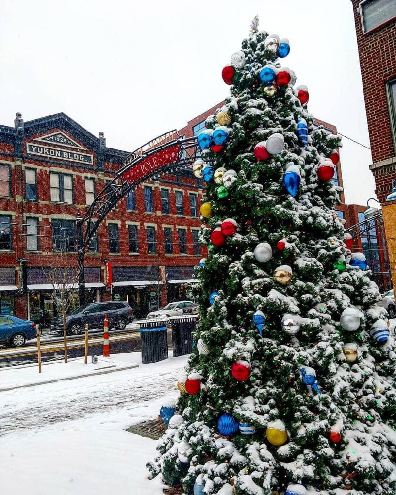 A decorated Christmas tree covered in snow stands in a festive winter scene with buildings in the background.